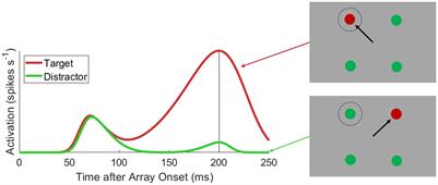 Oculomotor feature discrimination is cortically mediated